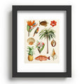 Gal Design Hawaii Collection Recessed Framing Rectangle