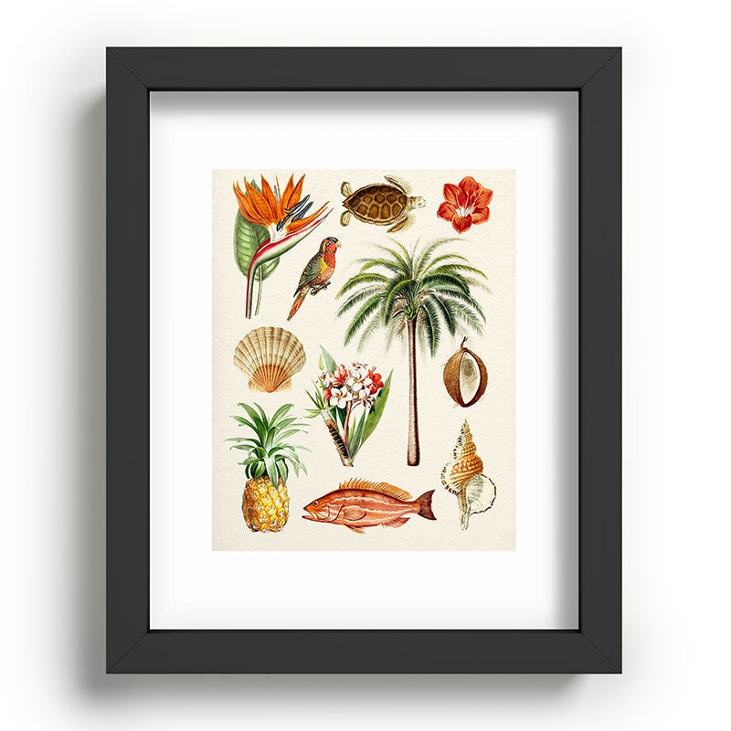 Gal Design Hawaii Collection Recessed Framing Rectangle