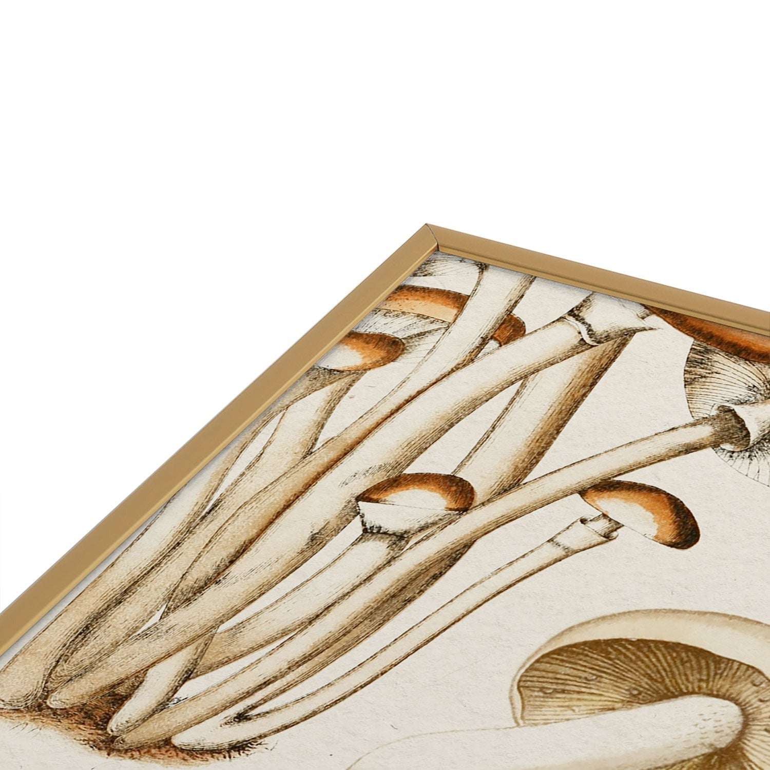 Gal Design Mushrooms Collection Square Metal Framed Art Print