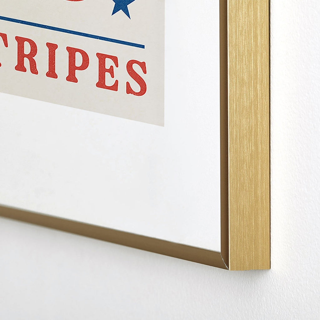 DENY Designs Bright Stars Bright Stripes Metal Framed Art Print