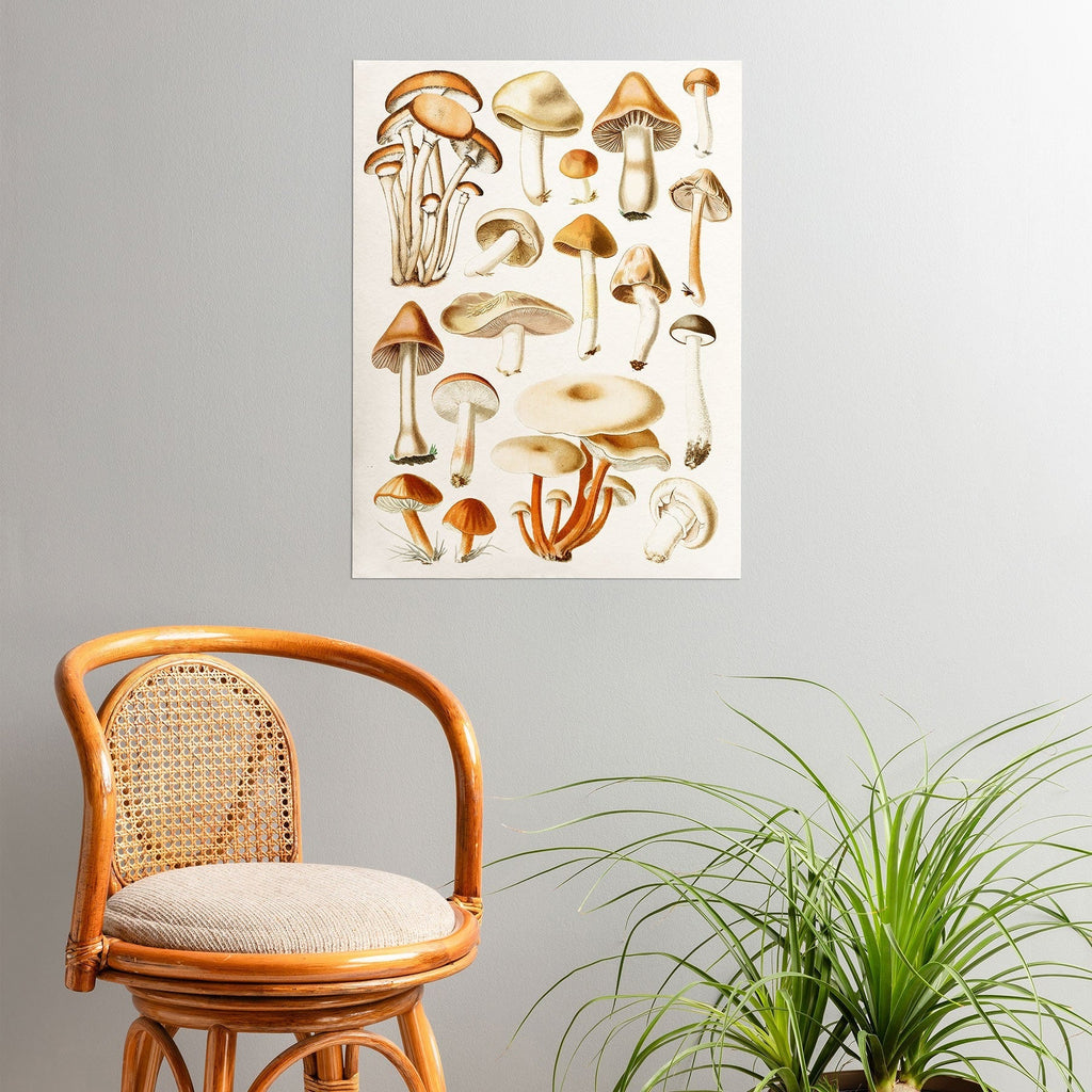 Gal Design Mushrooms Collection Poster