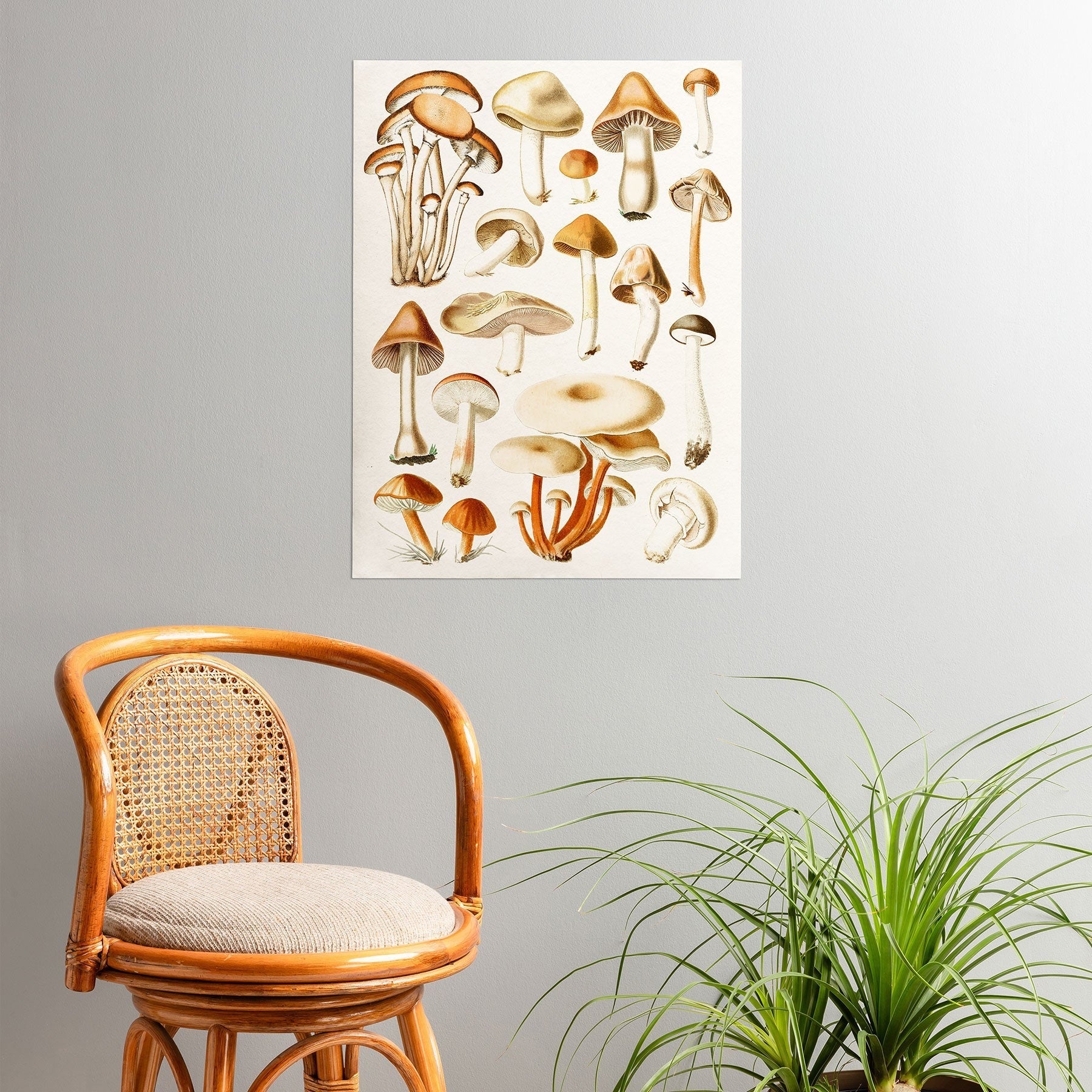 Gal Design Mushrooms Collection Poster