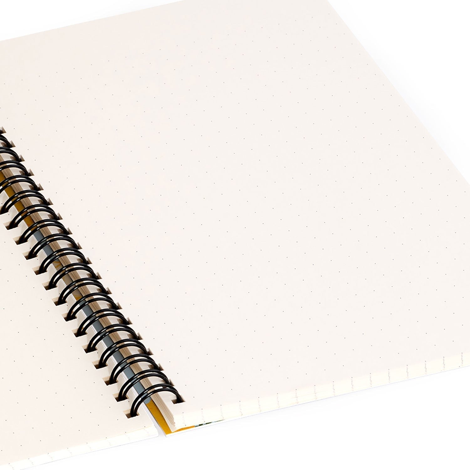 Jessica Molina Lemon Pattern on Sky Blue Spiral Notebook