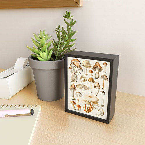 Gal Design Mushrooms Collection Framed Mini Art Print