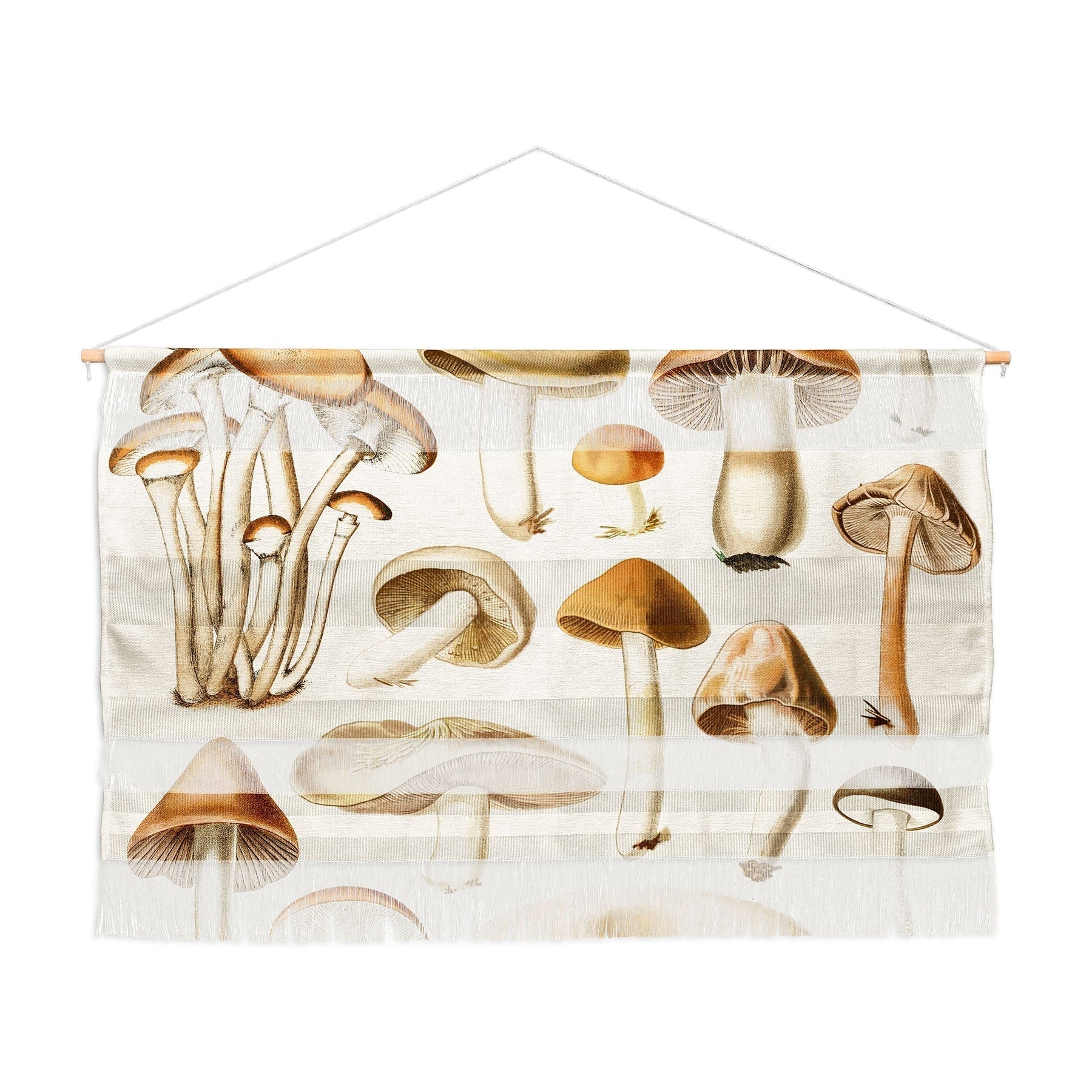 Gal Design Mushrooms Collection Wall Hanging Landscape