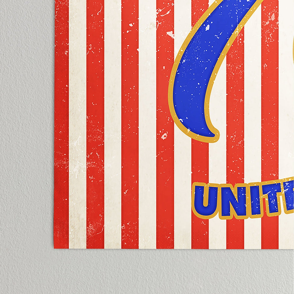 DENY Designs 1776 Stars Poster