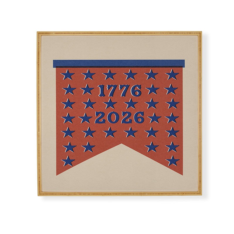 DENY Designs Star Banner Framed Wall Art