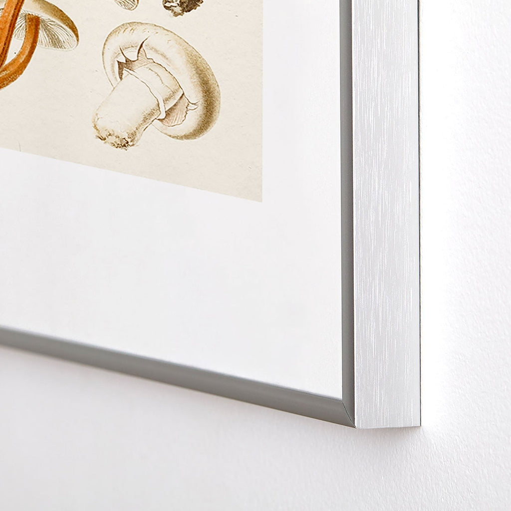 Gal Design Mushrooms Collection Metal Framed Art Print
