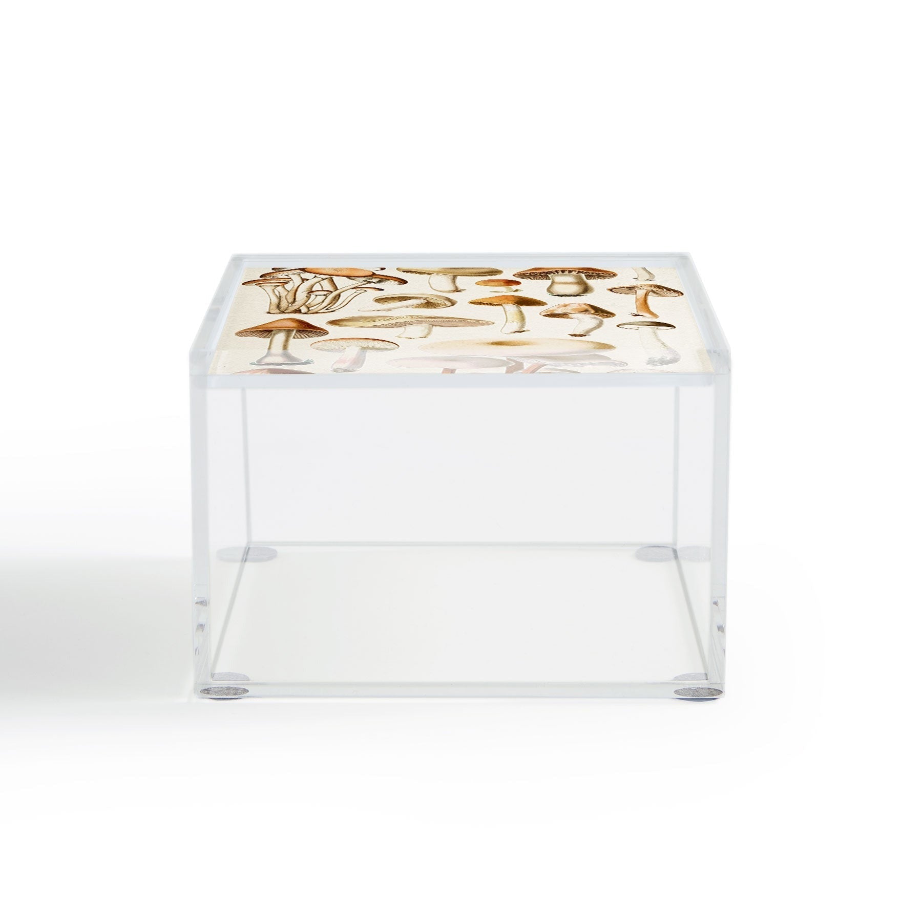Gal Design Mushrooms Collection Acrylic Box
