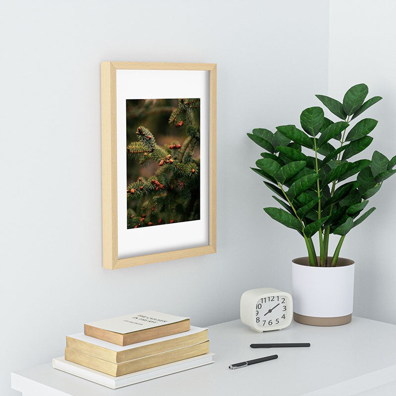 Hannah Kemp Spruce Tips Recessed Framing Rectangle