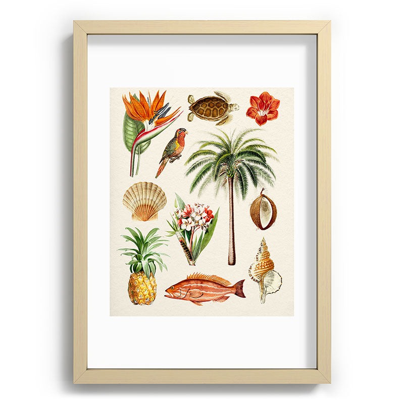 Gal Design Hawaii Collection Recessed Framing Rectangle