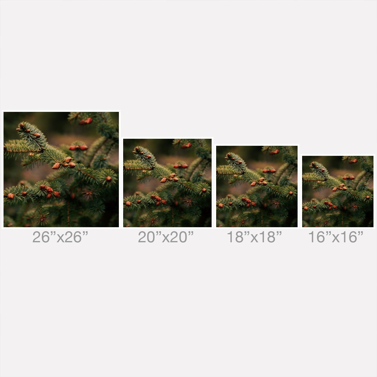 Hannah Kemp Spruce Tips Outdoor Throw Pillow