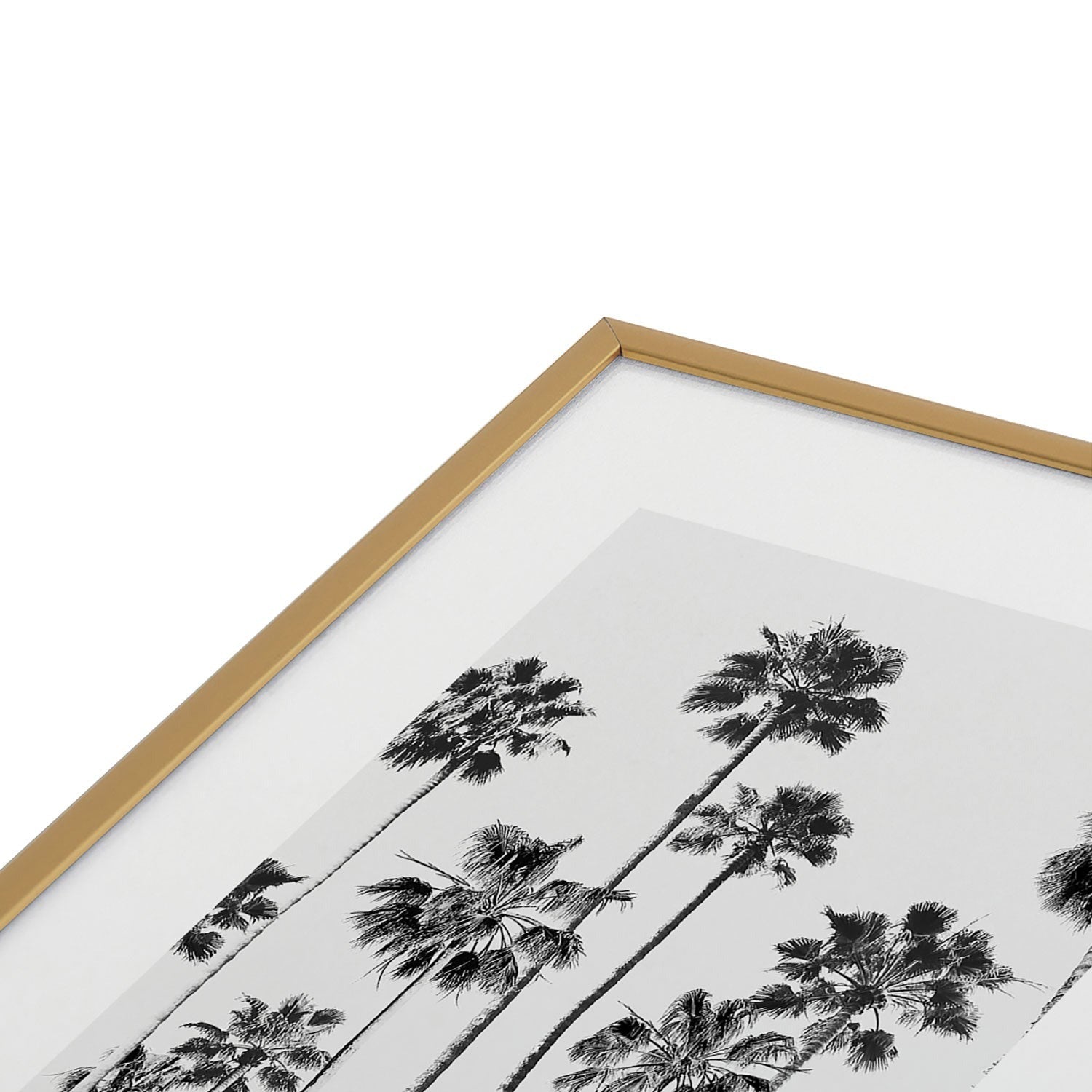 Gal Design Black And White Palms Metal Framed Art Print