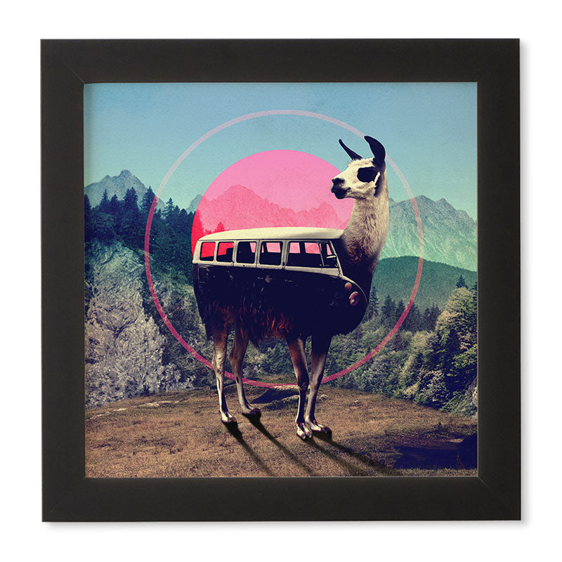 Ali Gulec Llama Van Framed Wall Art