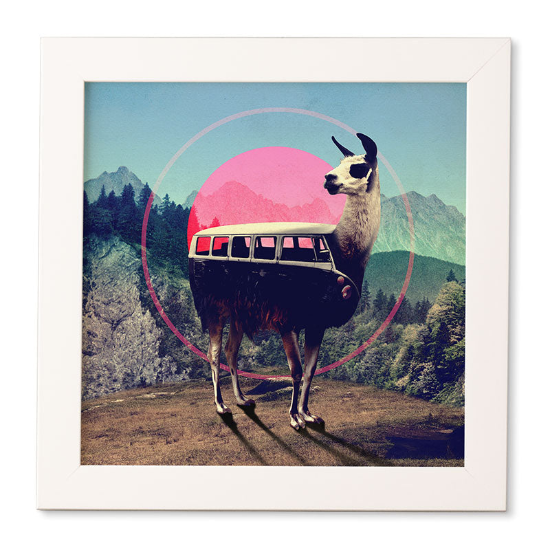 Ali Gulec Llama Van Framed Wall Art