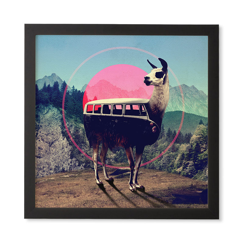 Ali Gulec Llama Van Framed Wall Art