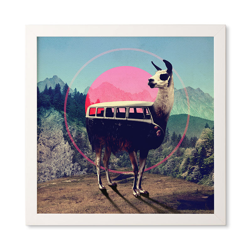 Ali Gulec Llama Van Framed Wall Art
