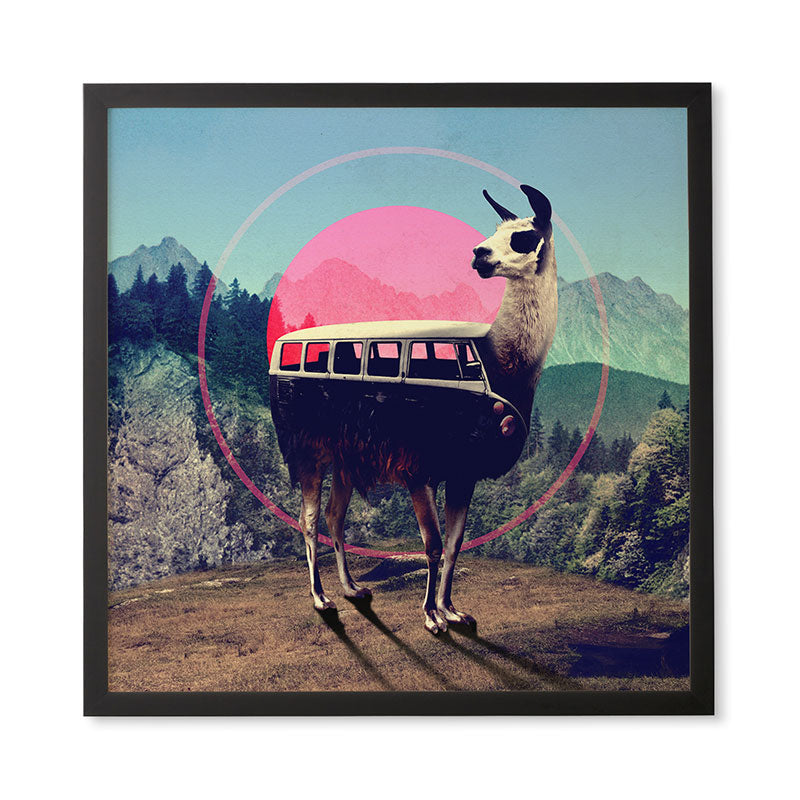 Ali Gulec Llama Van Framed Wall Art