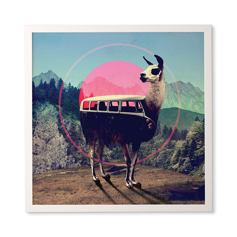 Ali Gulec Llama Van Framed Wall Art