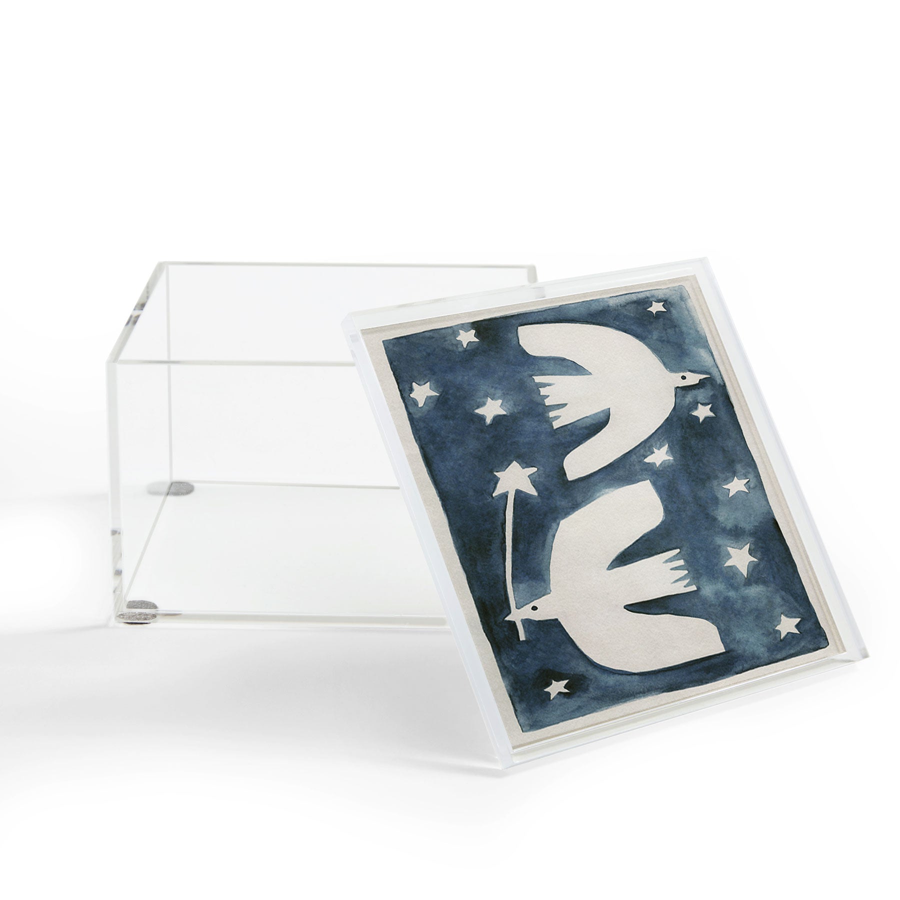 Alisa Galitsyna Celestial Birds V2 Acrylic Box