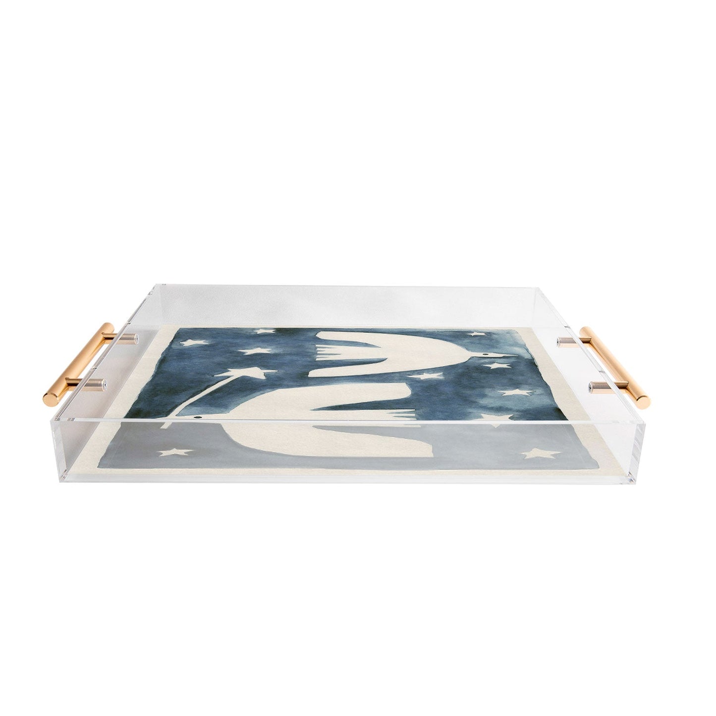 Alisa Galitsyna Celestial Birds V2 Acrylic Tray