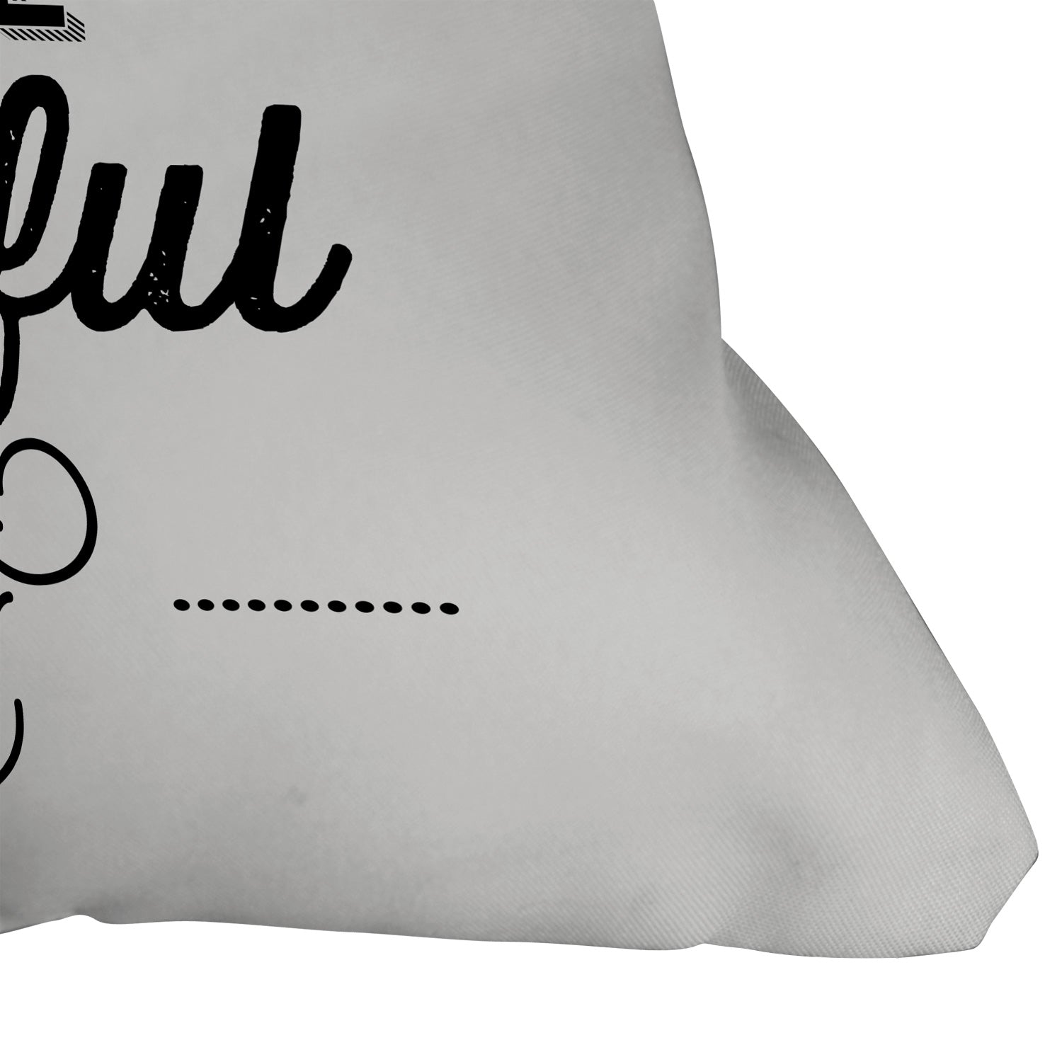 Allyson Johnson Something To Be Grateful For Outdoor Throw Pillow