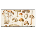 Gal Design Mushrooms Collection Desk Mat