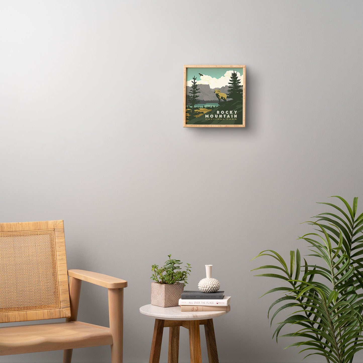 Anderson Design Group Rocky Mountain National Park Framed Wall Art