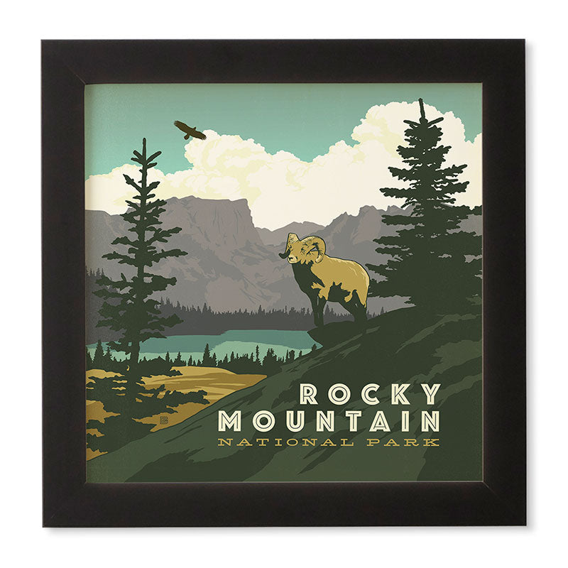 Anderson Design Group Rocky Mountain National Park Framed Wall Art