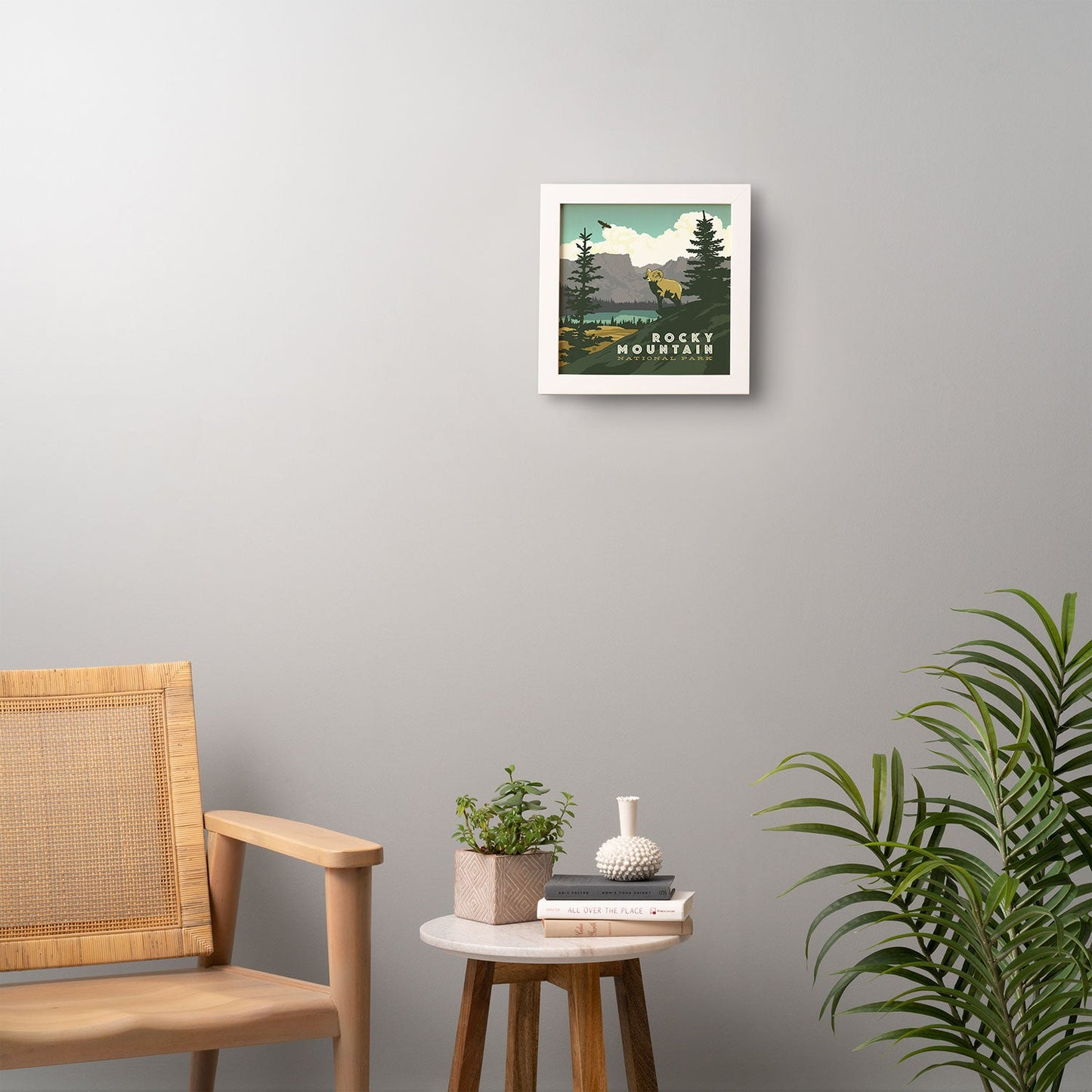 Anderson Design Group Rocky Mountain National Park Framed Wall Art
