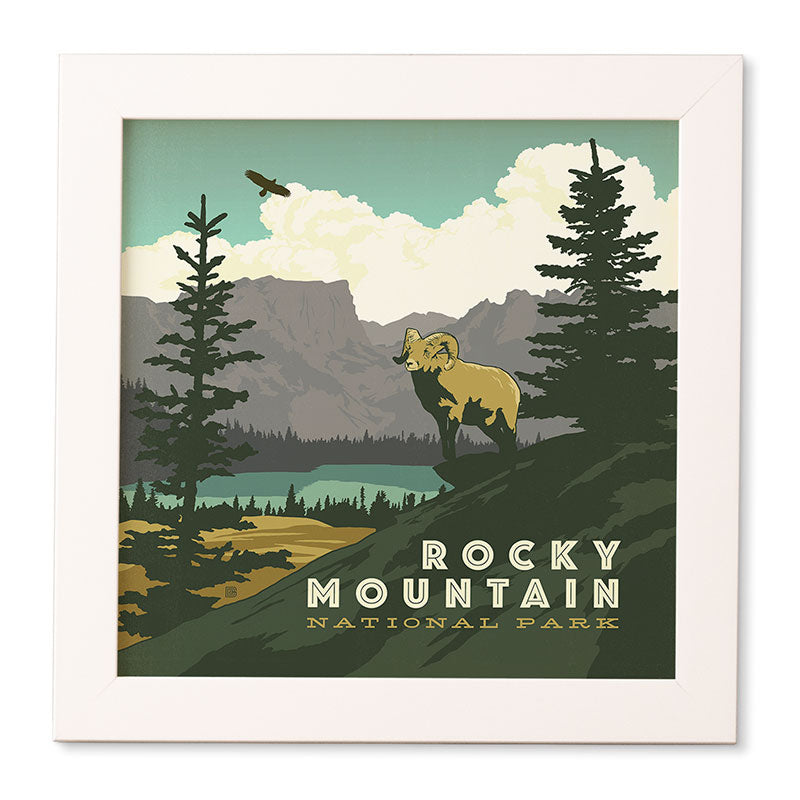 Anderson Design Group Rocky Mountain National Park Framed Wall Art