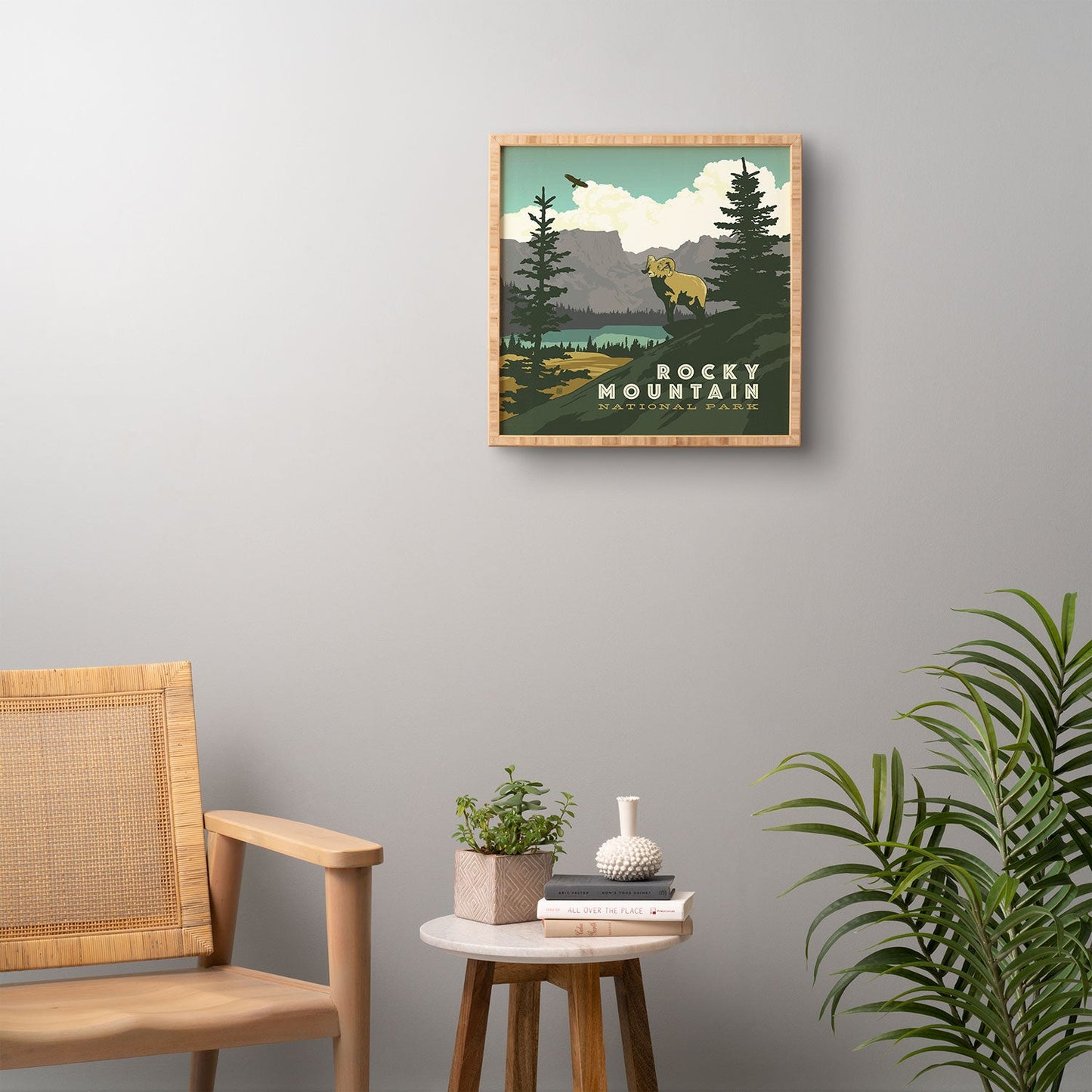 Anderson Design Group Rocky Mountain National Park Framed Wall Art