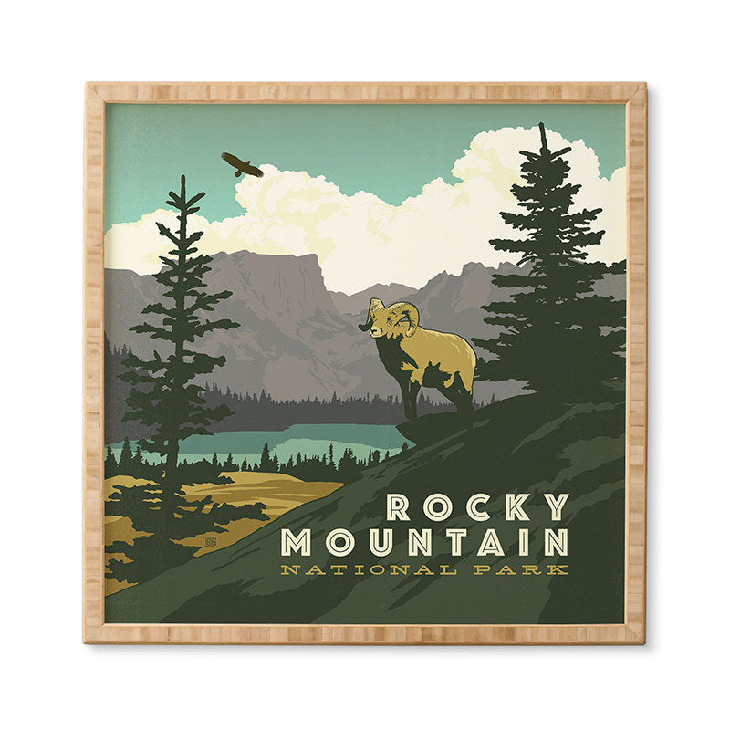 Anderson Design Group Rocky Mountain National Park Framed Wall Art