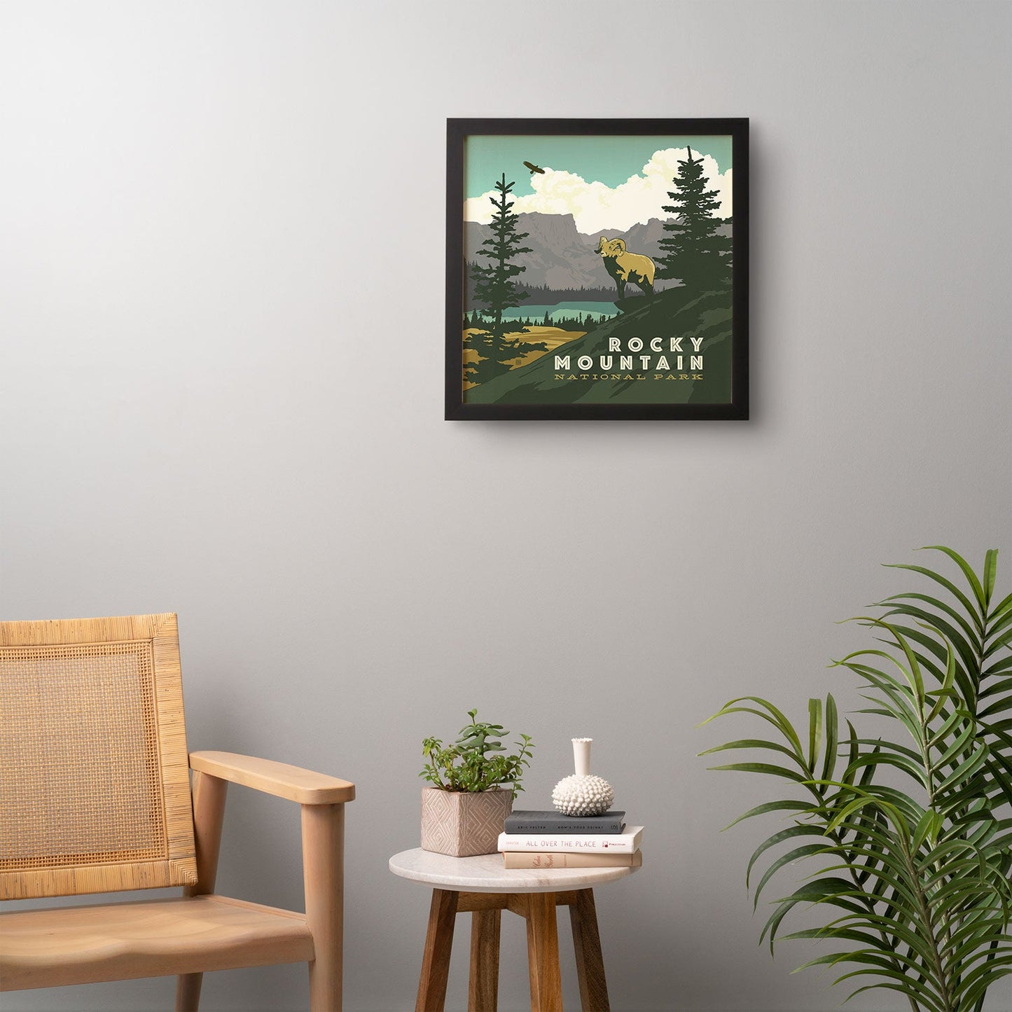 Anderson Design Group Rocky Mountain National Park Framed Wall Art