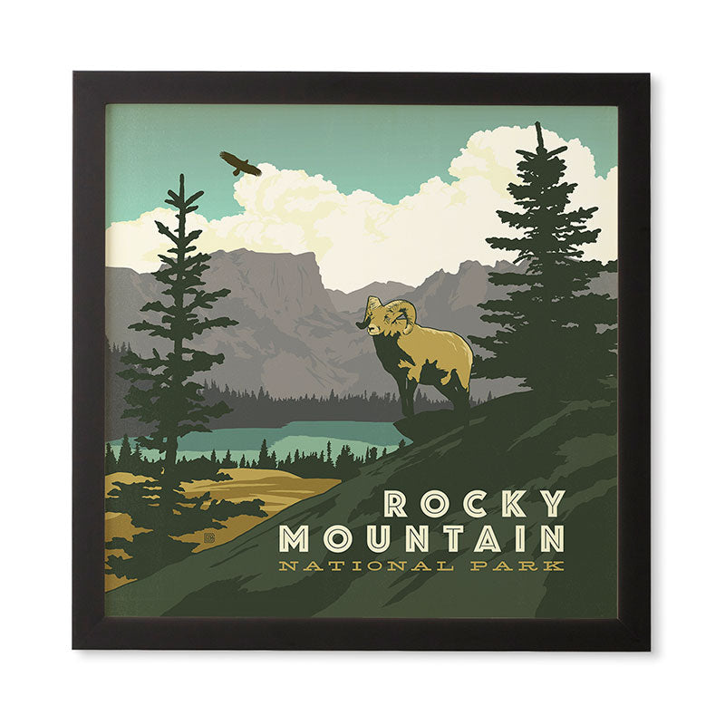 Anderson Design Group Rocky Mountain National Park Framed Wall Art
