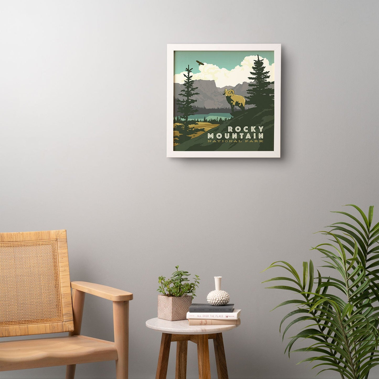 Anderson Design Group Rocky Mountain National Park Framed Wall Art