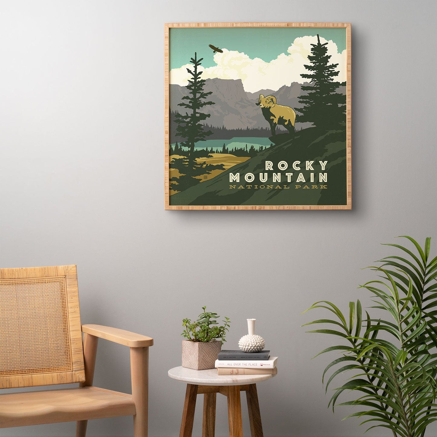 Anderson Design Group Rocky Mountain National Park Framed Wall Art