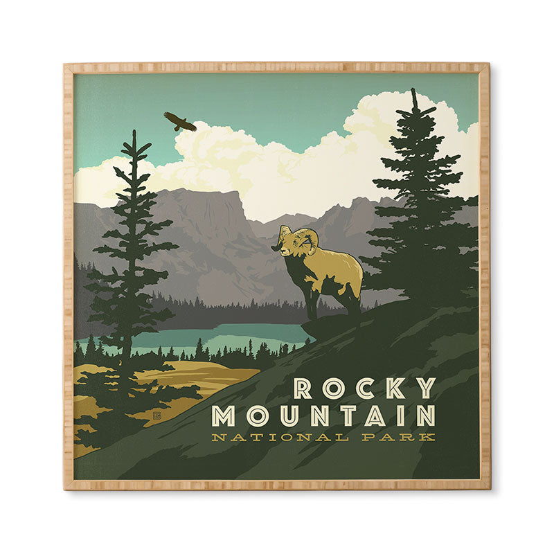 Anderson Design Group Rocky Mountain National Park Framed Wall Art
