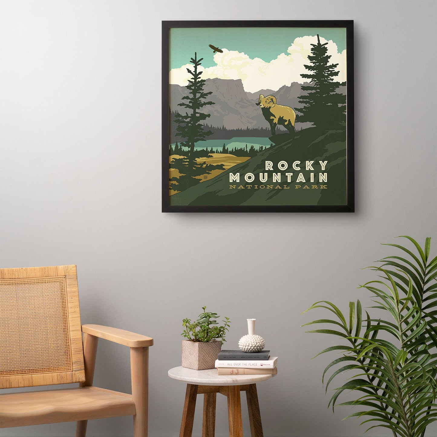 Anderson Design Group Rocky Mountain National Park Framed Wall Art