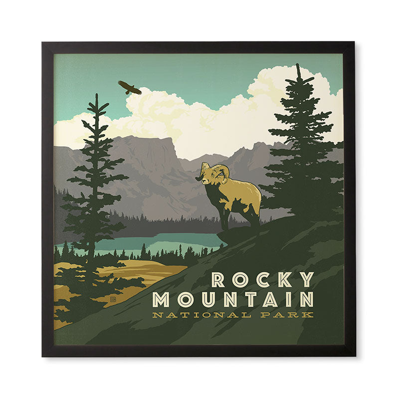 Anderson Design Group Rocky Mountain National Park Framed Wall Art