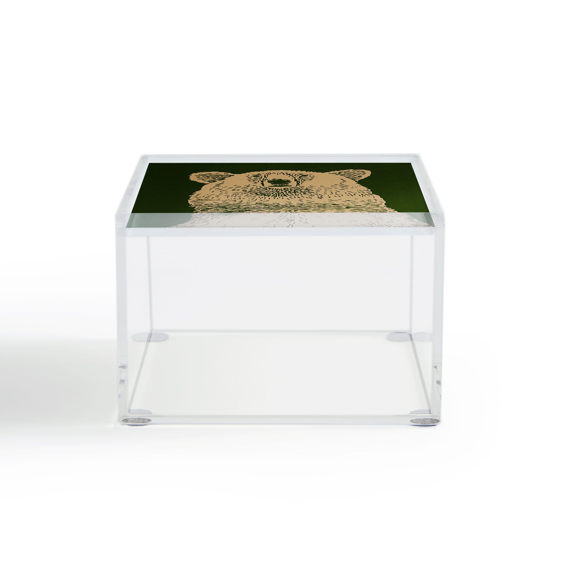Andrew Henry Kodiak Bear Acrylic Box