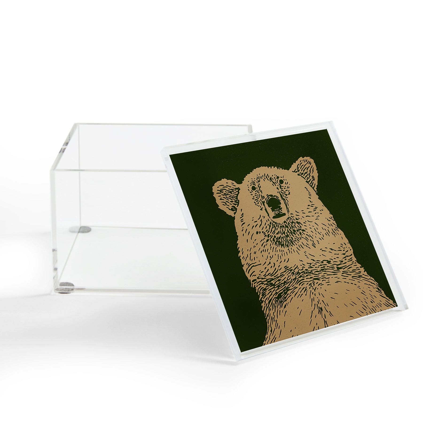 Andrew Henry Kodiak Bear Acrylic Box