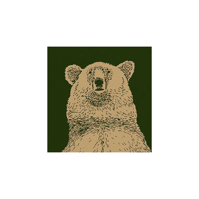 Andrew Henry Kodiak Bear Art Print