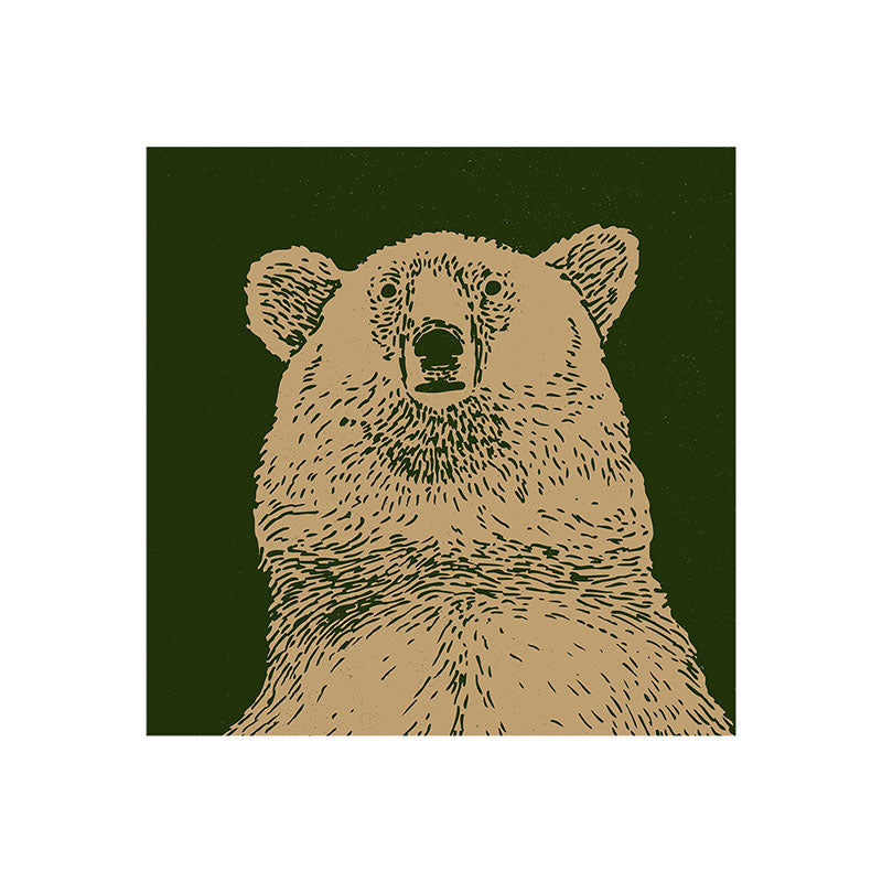 Andrew Henry Kodiak Bear Art Print