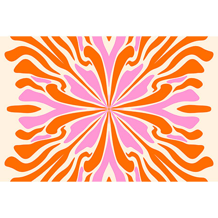 Angela Minca Abstract Symmetry Petals 2 Wall Mural