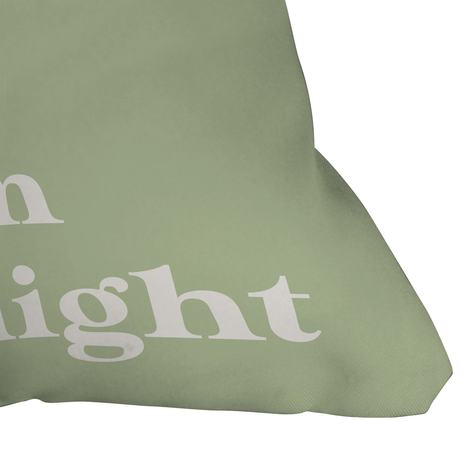 April Lane Art Green Dream I Outdoor Throw Pillow
