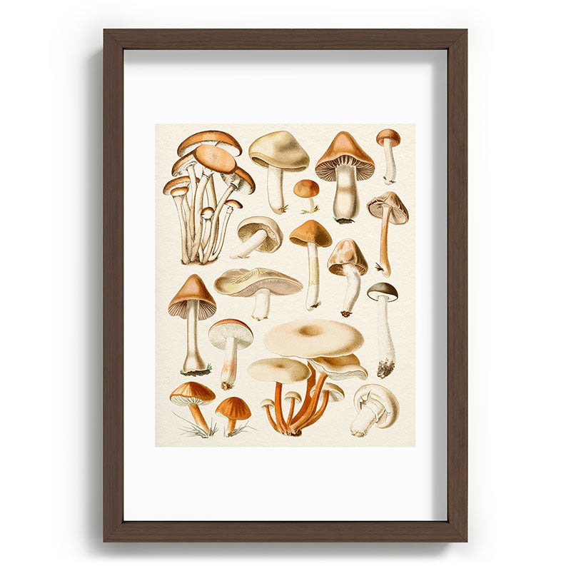 Gal Design Mushrooms Collection Recessed Framing Rectangle