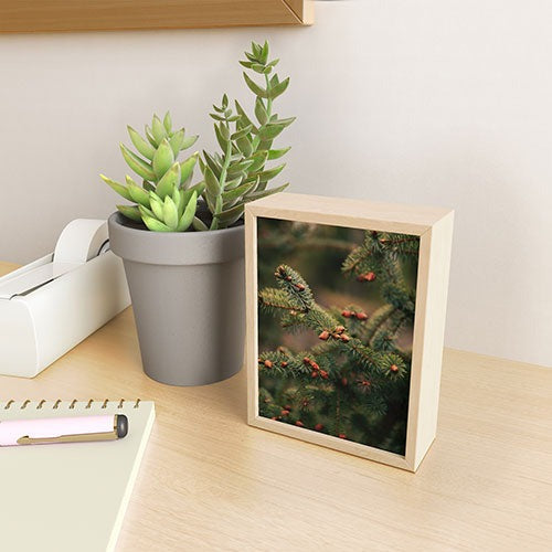 Hannah Kemp Spruce Tips Framed Mini Art Print