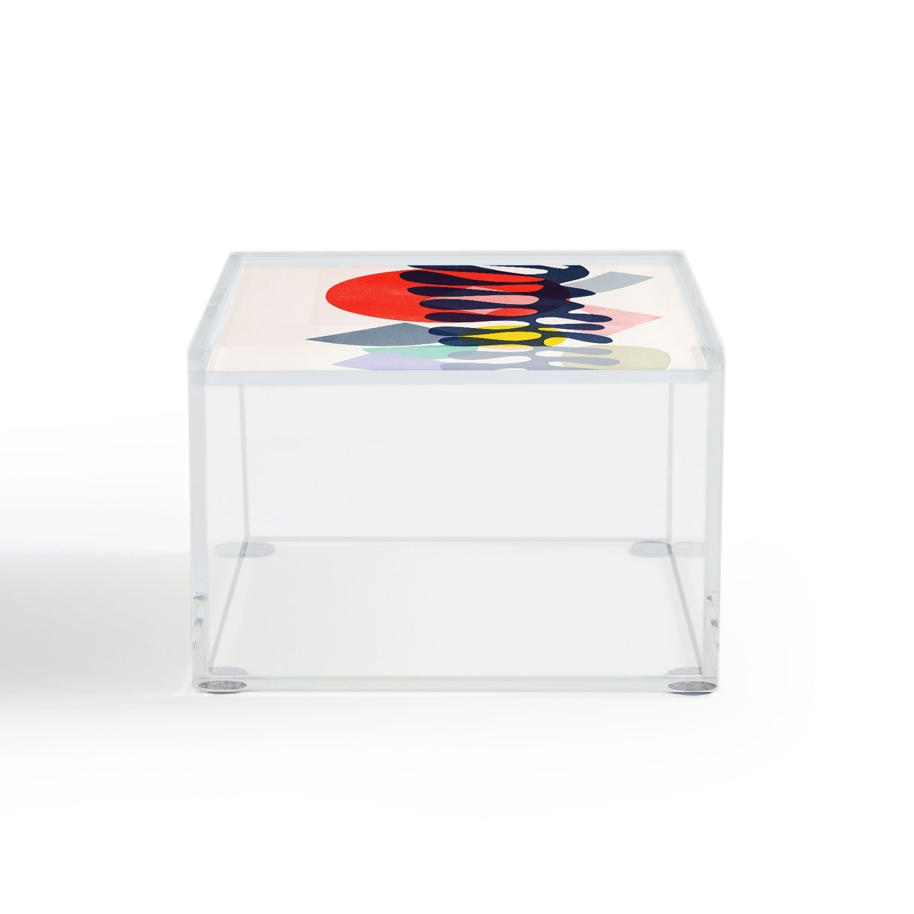Garima Dhawan growing 1 Acrylic Box
