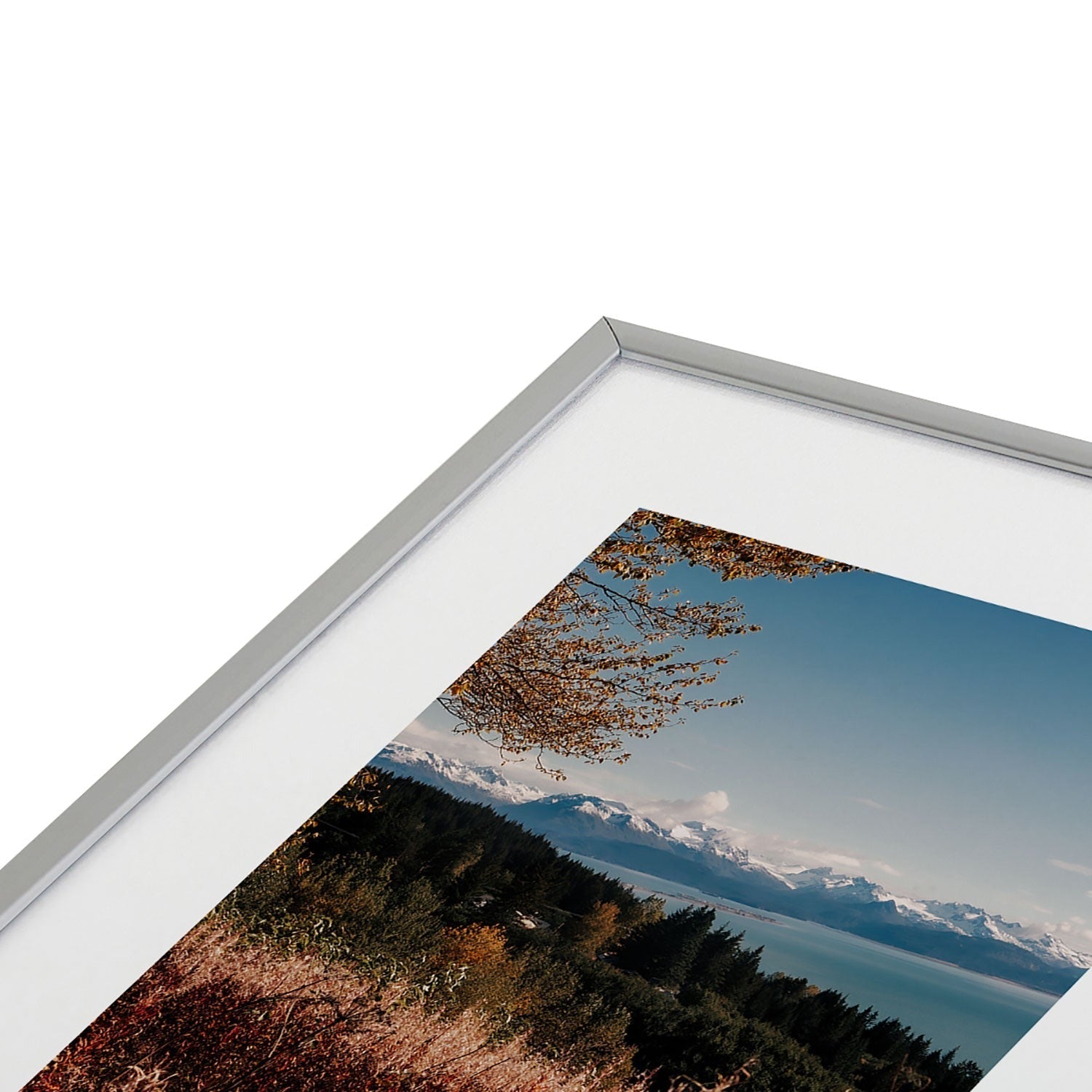 Hannah Kemp Homer Metal Framed Art Print